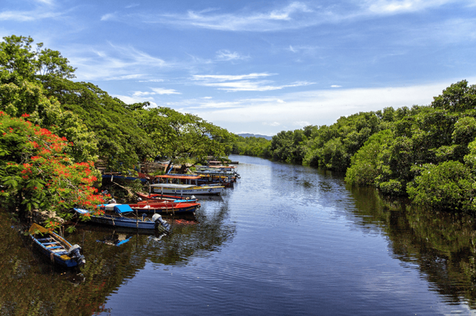 Tropical river and coastal scenery in Montego Bay, Jamaica