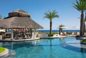 Manatees at Ultra Luxury Puerto Los Cabos Golf & Spa Resort